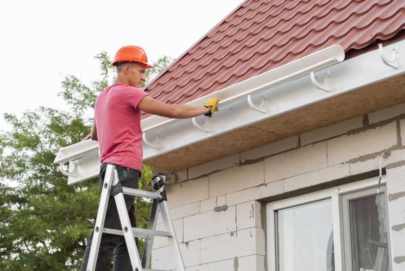 Gutter and Roof Maintenance